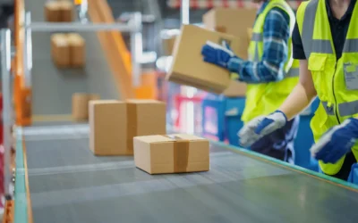 boost-your-production-line-the-ultimate-guide-to-maximising-efficiency-with-conveyor-systems